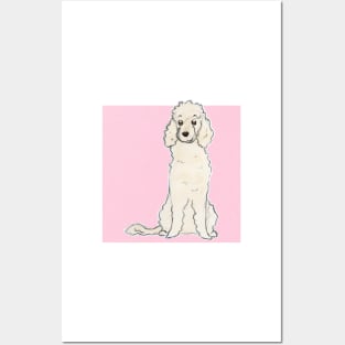 poodle dog Posters and Art